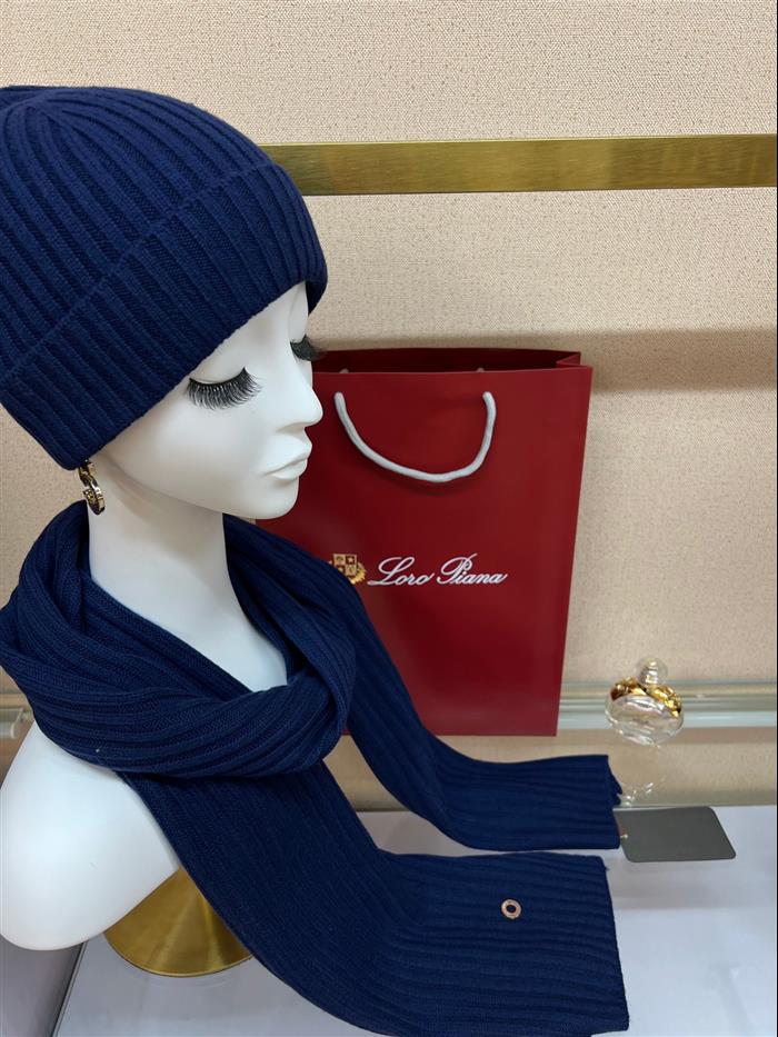 2026116112023640 100